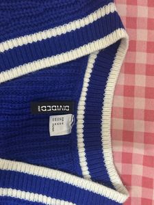 H&amp;M Pinterest Sleeveless Sweater Vest