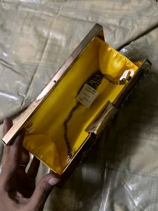 Party Clutch Brand New