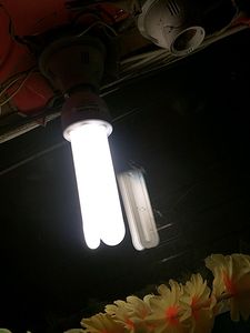 32 watt Halonix CFL for sale