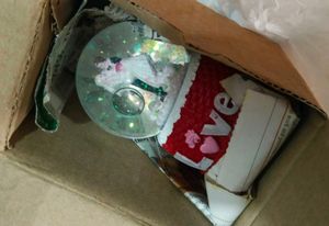 Couple Snow Globe for gift