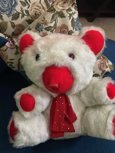 Cute White Teddy Bear with Red Accents