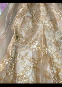 Elegant Embroidered Ethnic Gown