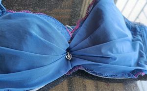Blue Colour Net/Lightly Padded Bra.