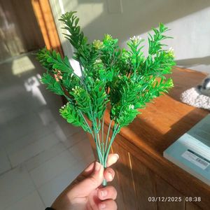 Artificial Plants (Set of 5)