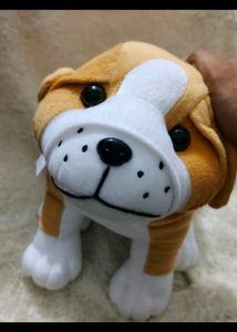 One Cute Dog