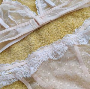 Sheer Lace Lingerie Set