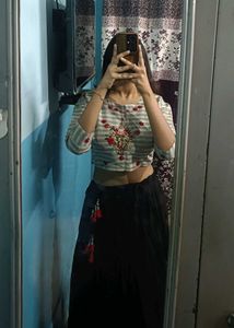 Embroidered Crop Top &amp; Skirt Set