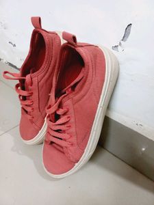Zudio Canvas Sneakers