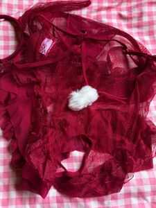 Sexy Red Lace Teddy Lingerie Set