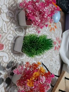 Artificial Plant Combo Pack Of 3