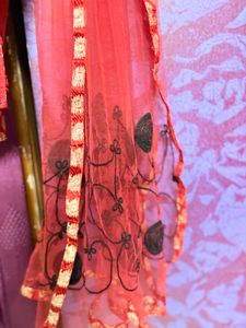 Red Embroidered Patiyala Pyjama