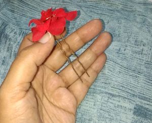 Flower Hair Bow And Pin , Earrings Combo