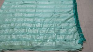Beautiful Mint Green Striped Saree with Mirror Wor
