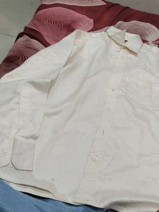 Classic Cream Button-Down Shirt