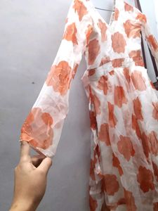 Floral Print Sheer Maxi Dress
