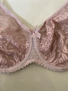 Elegant Lace Bra