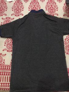 Men Polo Tshirt Grey And Blue