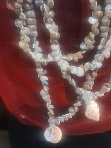 4 Mala of sea shells