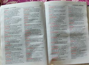 Blackie's Little English Dictionary