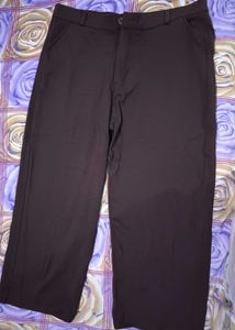 Formal Coffee Brown Pant