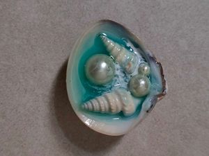 Seashell Pearl Fridge Magnet