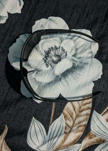 Orginial Titan sunglass