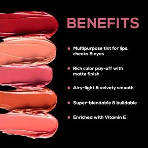 Renee Multi Mousse Lip Color