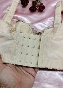 Elegant Lace Trim Bra
