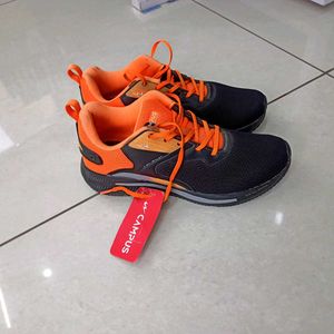 Campus Stylish Sport Shoes