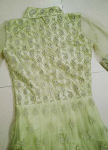 Elegant Ethnic Gown