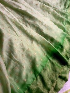Elegant Light Green lehenga choli