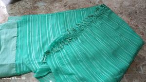 Elegant Saree with Sequined Blouse