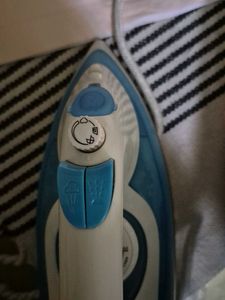 Electric steam iron