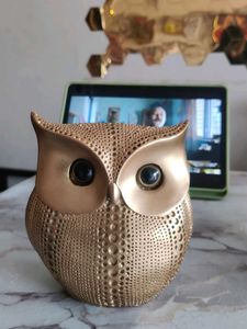 Beautiful Owl For Home Decor