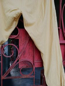 Beige Colour Ankle Length Pant