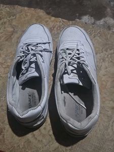 Casual White Sneakers
