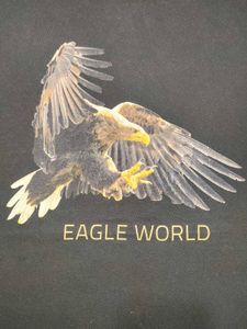 Tee Jays 'Eagle World' Graphic T-Shirt