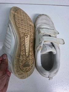 Adidas Velcro white Shoes