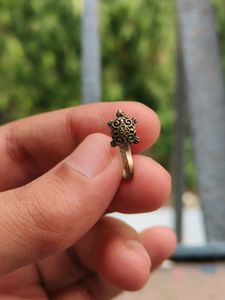EARING COMBO