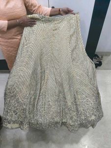 Embellished Ethnic lehenga with blouse
