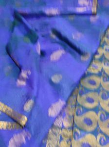 Blue Paisley Saree