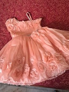 Flower Girl Special Occasion Dress