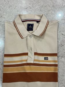 Arrow sports striped collar Polo T-shirt