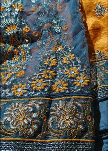Designer saree and blouse