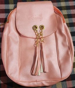 Fashionable Backpack