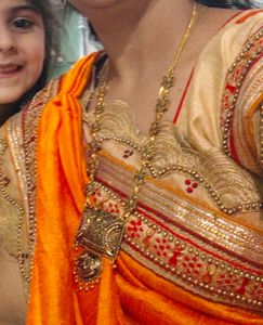 Stunning Orange Embroidered Saree