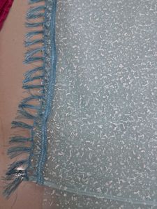 Beautiful Light Blue Saree