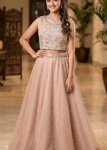Embellished Lehenga Choli(NEW)