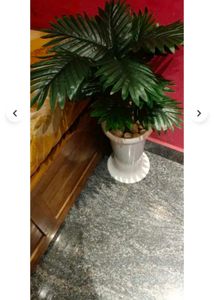 Artificial Palm Plant