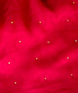 Elegant Red Saree
